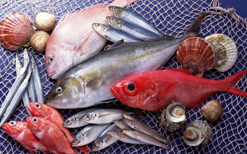 У м'ясі риби виявлені і водорозчинні вітаміни групи В