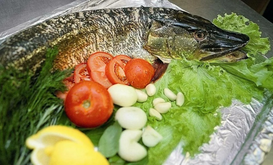 Чим корисна риба щука для організму?